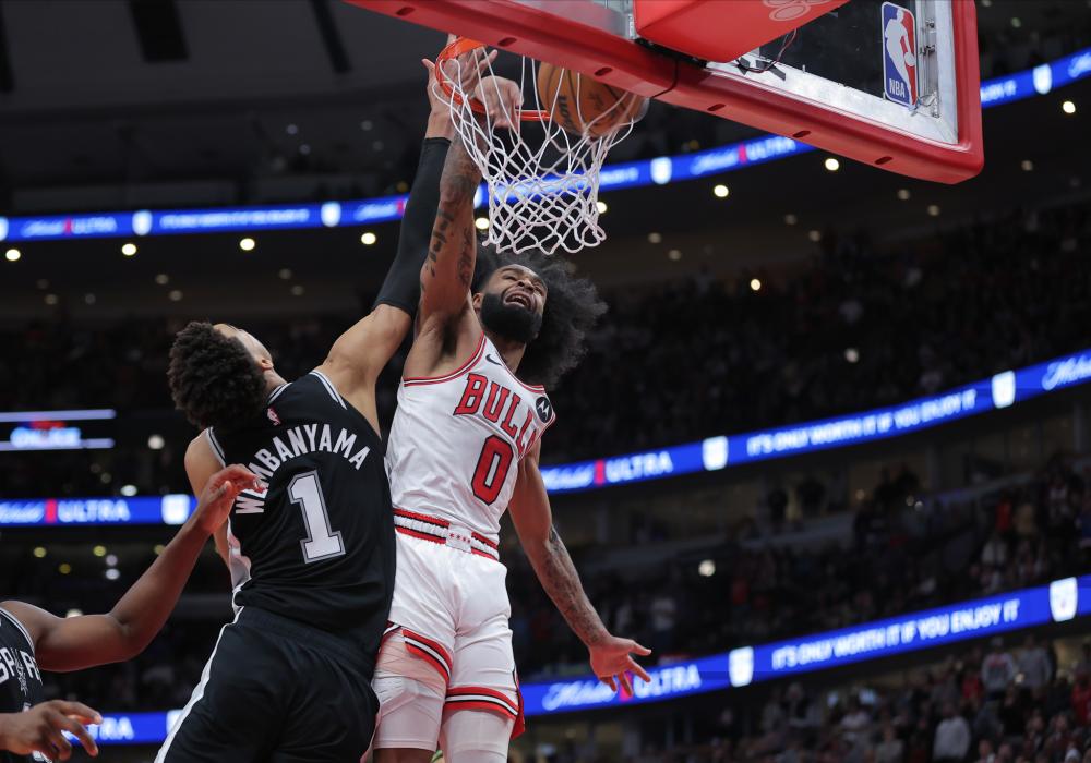 巴西柔术的 巴西柔术的