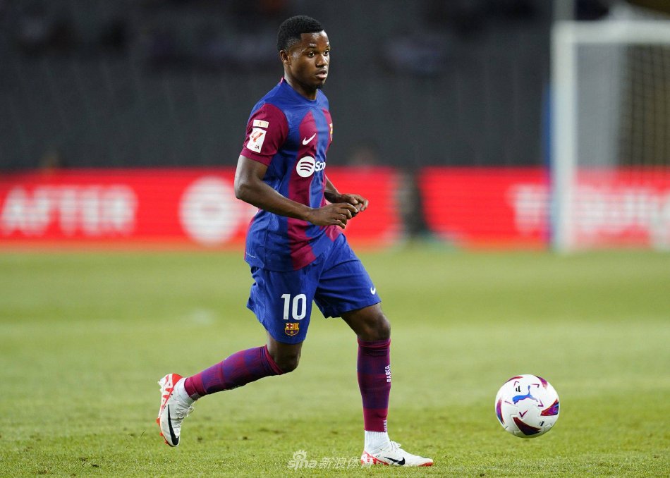 这种多样化 这种多样化